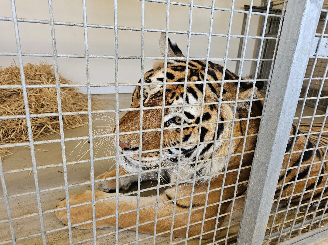 Lincolnshire Wildlife Park-Friskney必去景点