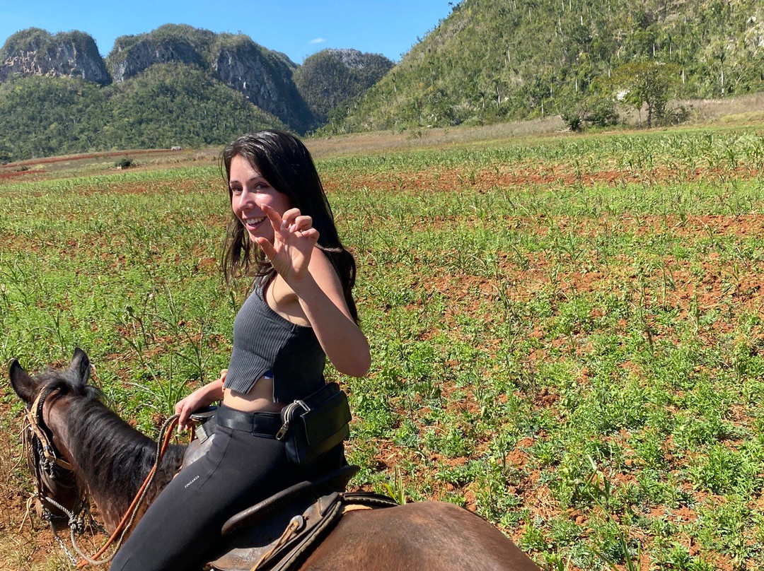 Un Paseo Por El Valle Palmarito-维纳勒斯必去景点