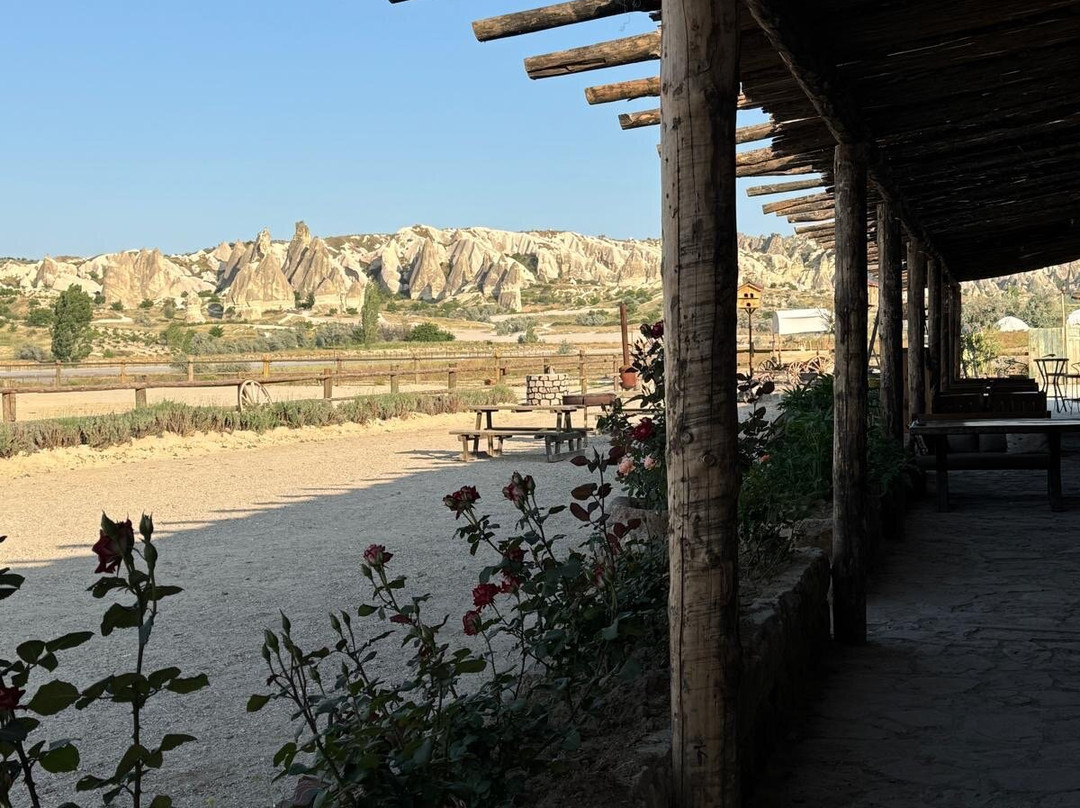 Moonlight Horse Ranch-格雷梅必去景点
