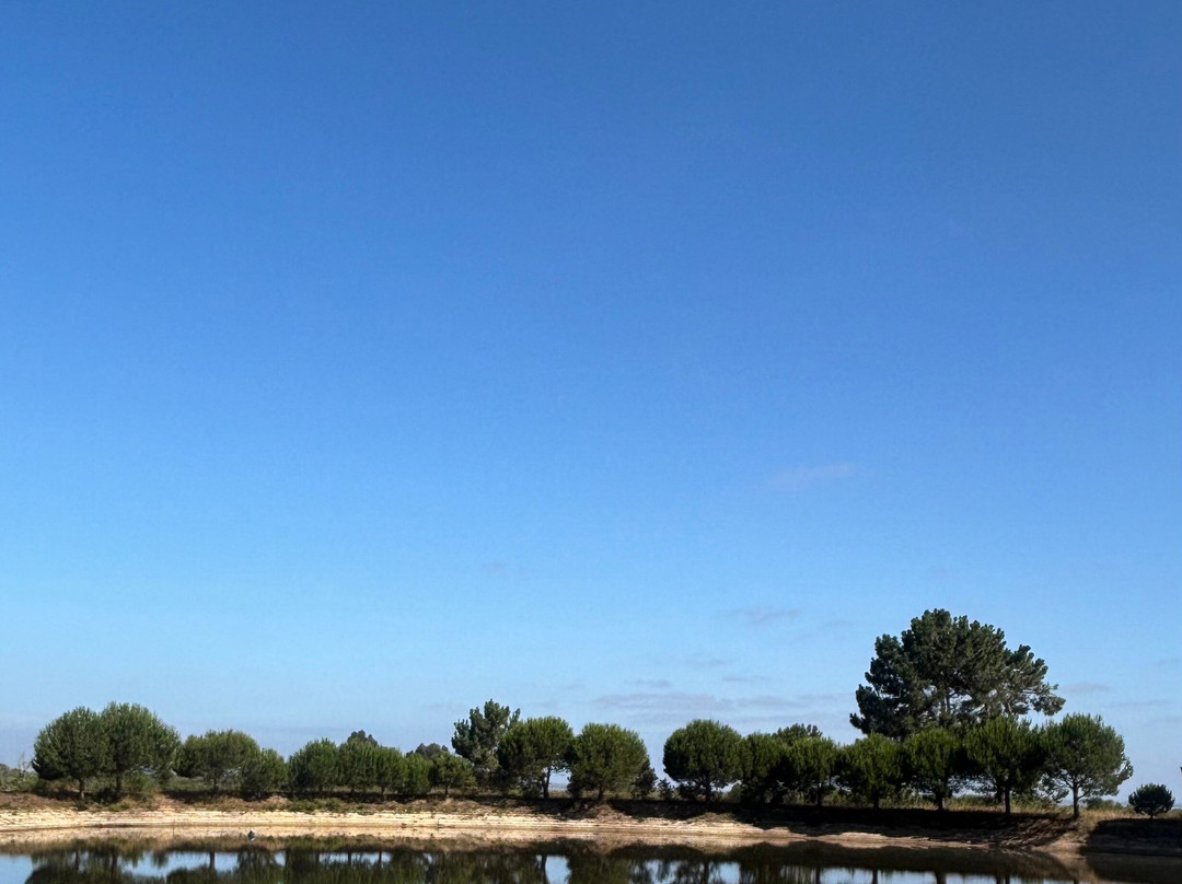 Monte Da Galrixa主图