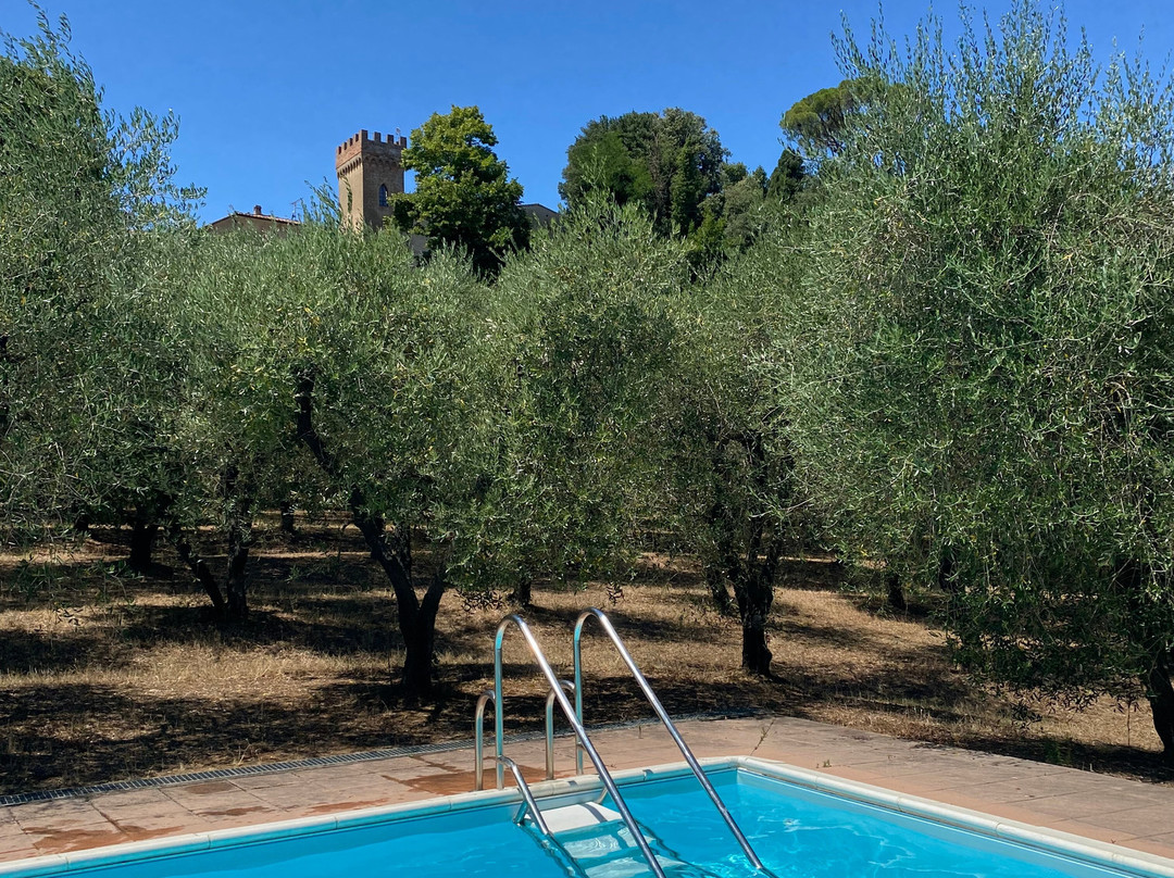 Villa Di Montelopio主图
