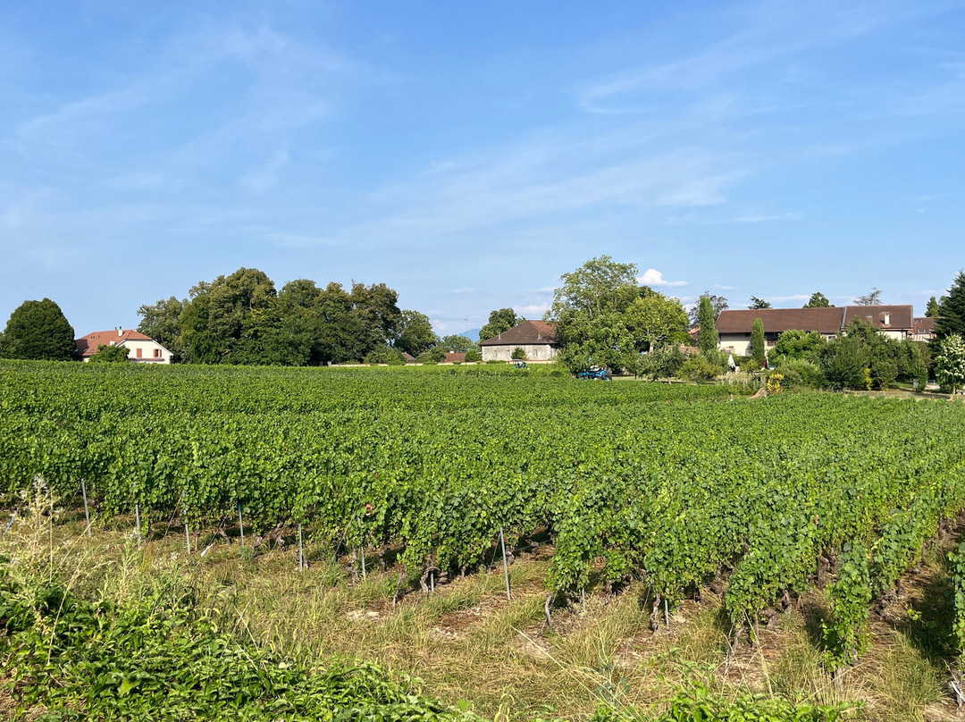 Domaine Les Perrières-Satigny必去景点