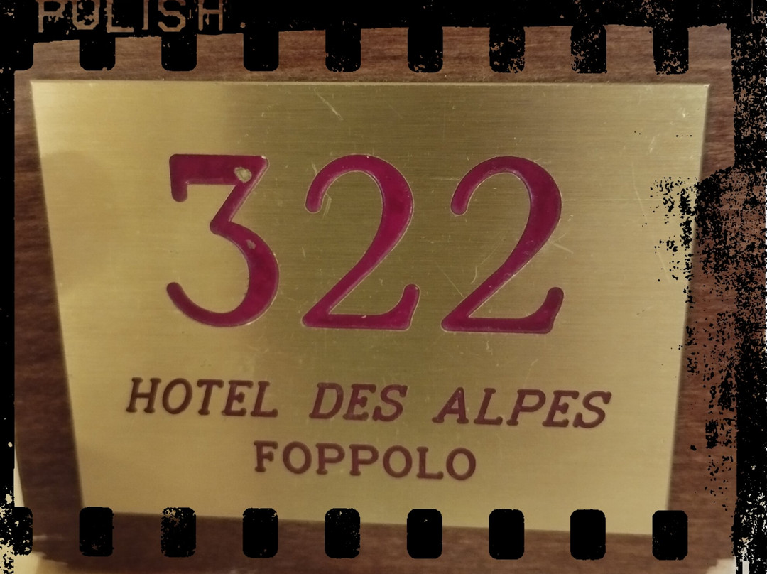 Hotel Des Alpes主图