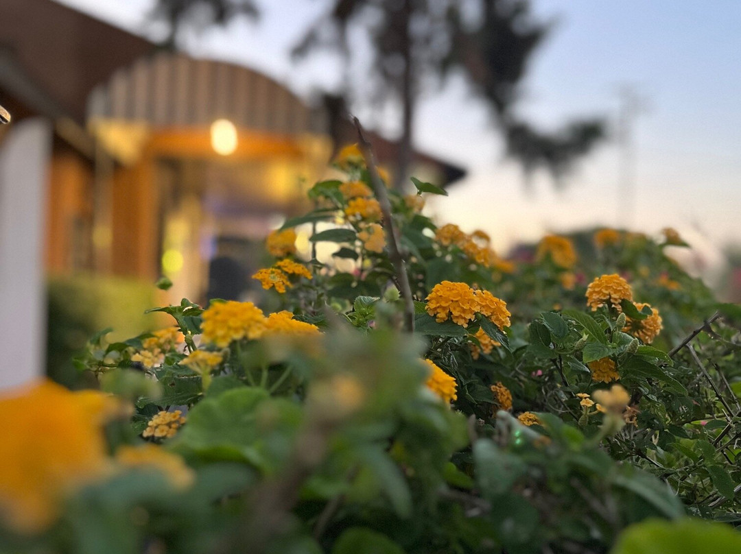 Finley's Bar & Grill