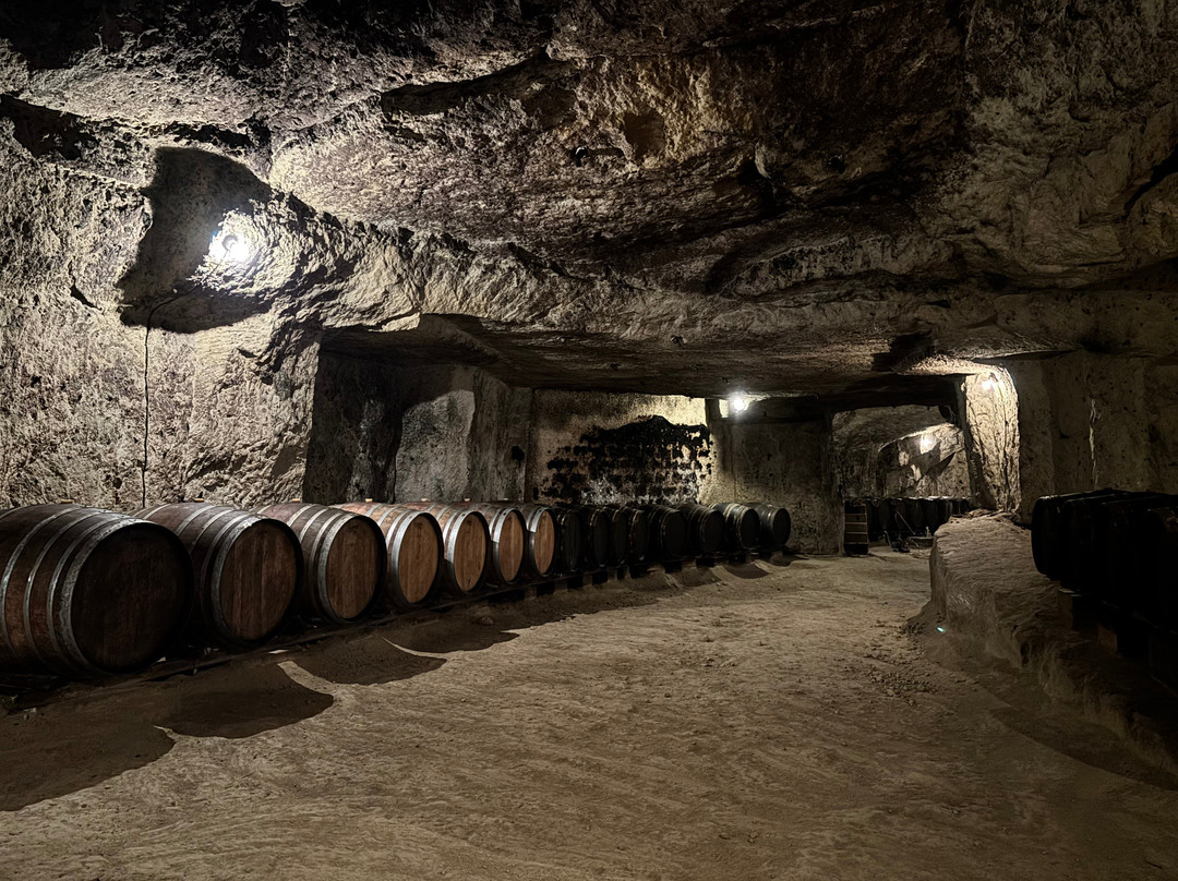 Vignoble de la Jarnoterie-Saint Nicolas de Bourgueil必去景点