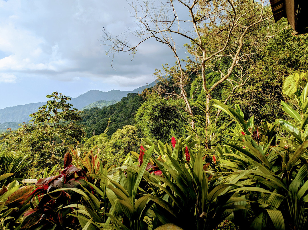 Reserva Natural Tierra Adentro Country House主图