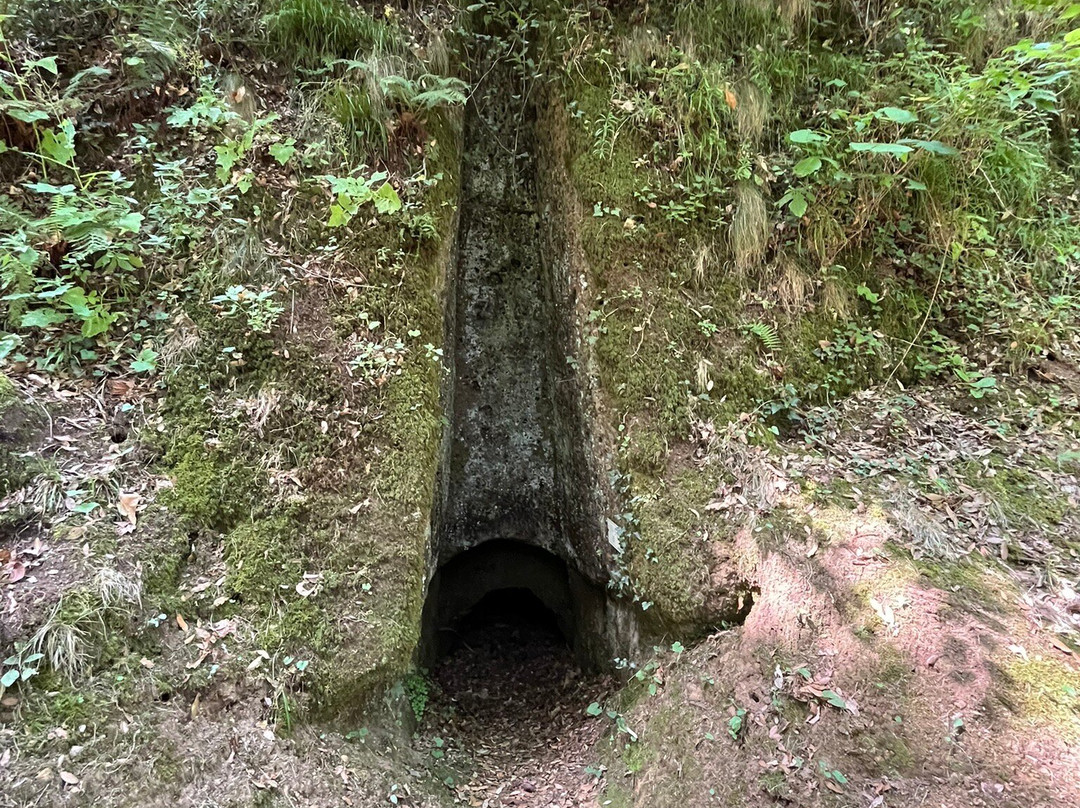 Parco Archeologico Citta del Tufo-Sovana必去景点