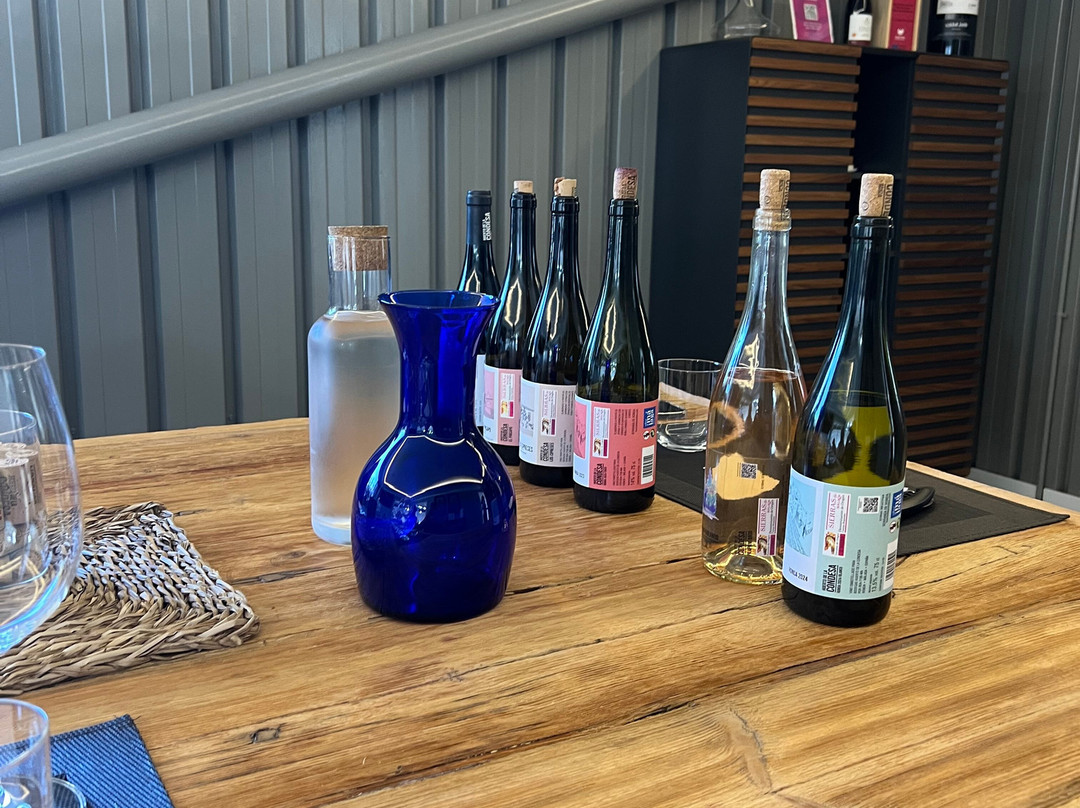 Bodega Huerto De La Condesa-隆达必去景点