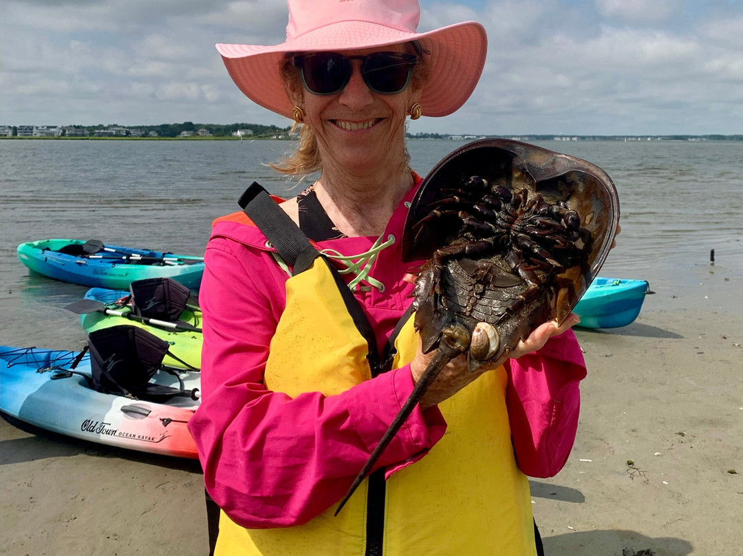 Ecobay Kayak Adventures-Ocean View必去景点