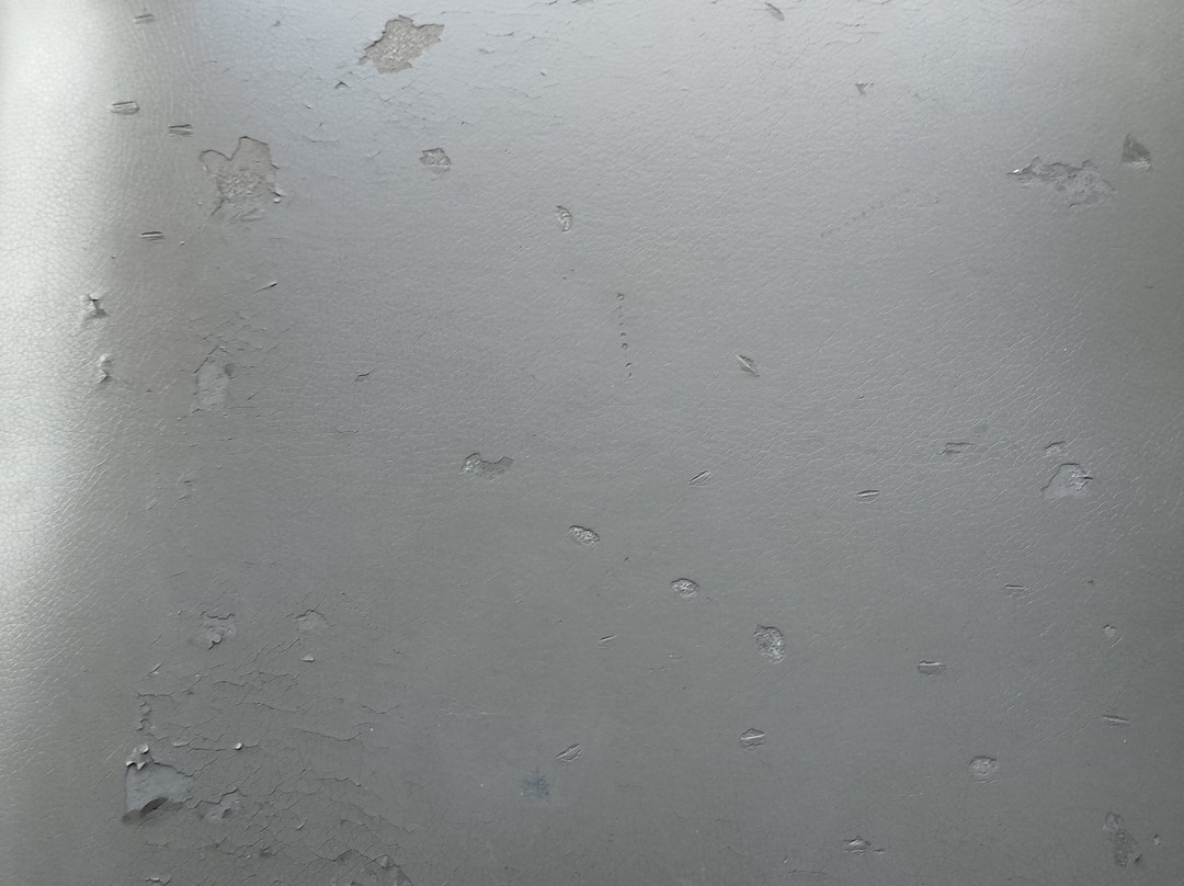 WWT Llanelli Wetland Centre-拉内利必去景点