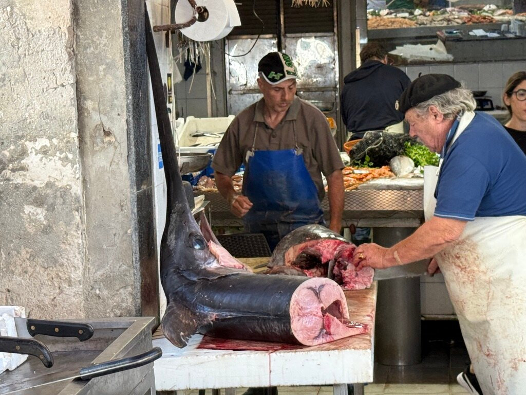 Mercato di Ortigia-锡拉库扎必去景点