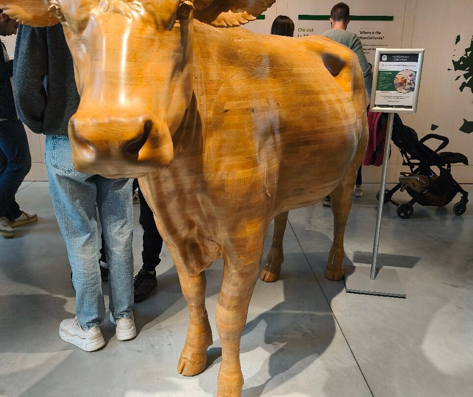 La Maison du Comté-Poligny必去景点