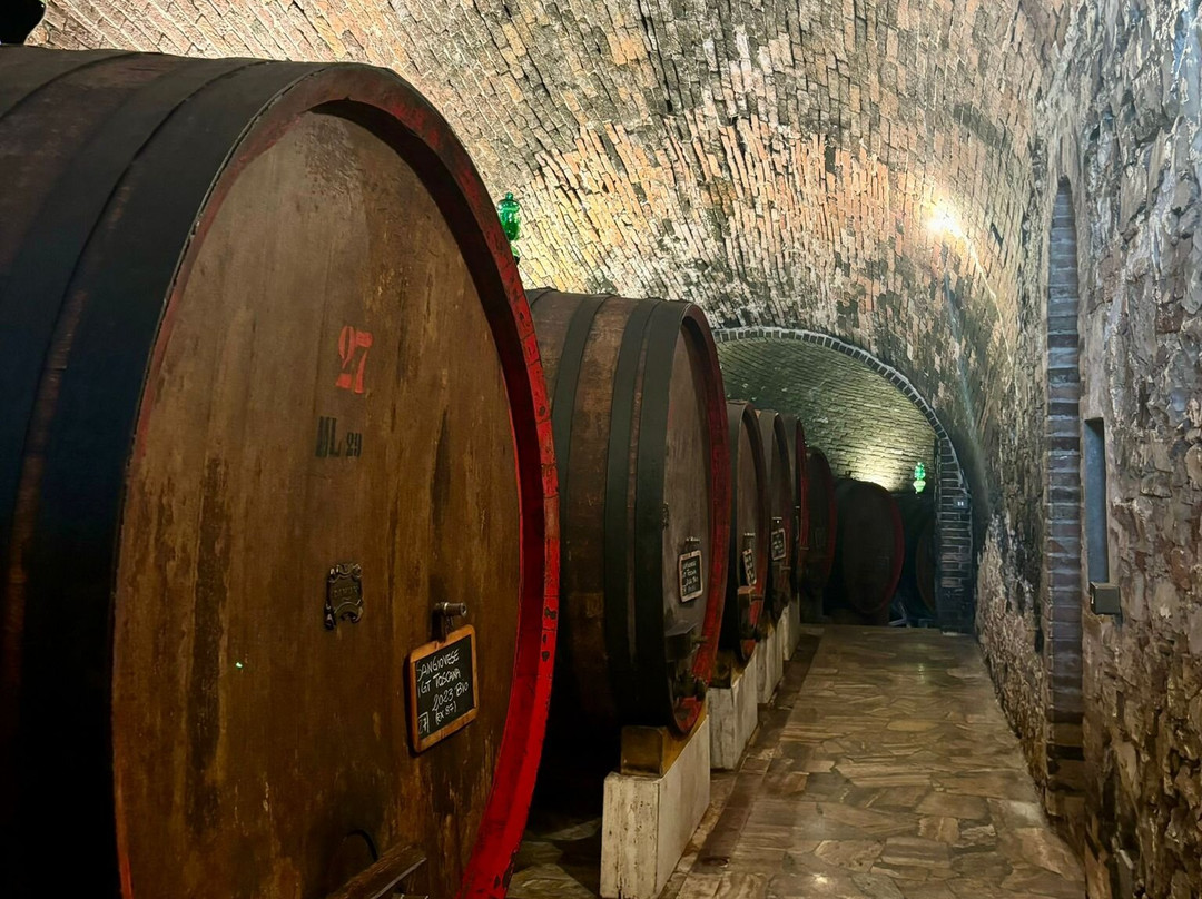 Felsina-卡斯德尔诺沃贝拉登卡必去景点