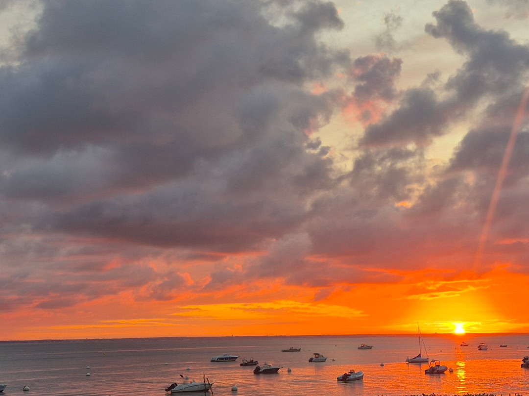 Bassin d'Arcachon-阿卡雄必去景点