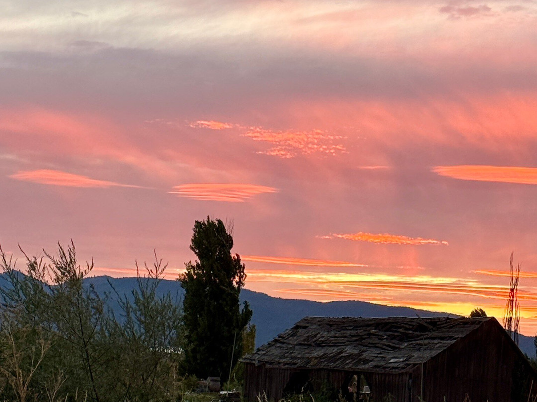 EdenVale Winery-梅德福必去景点