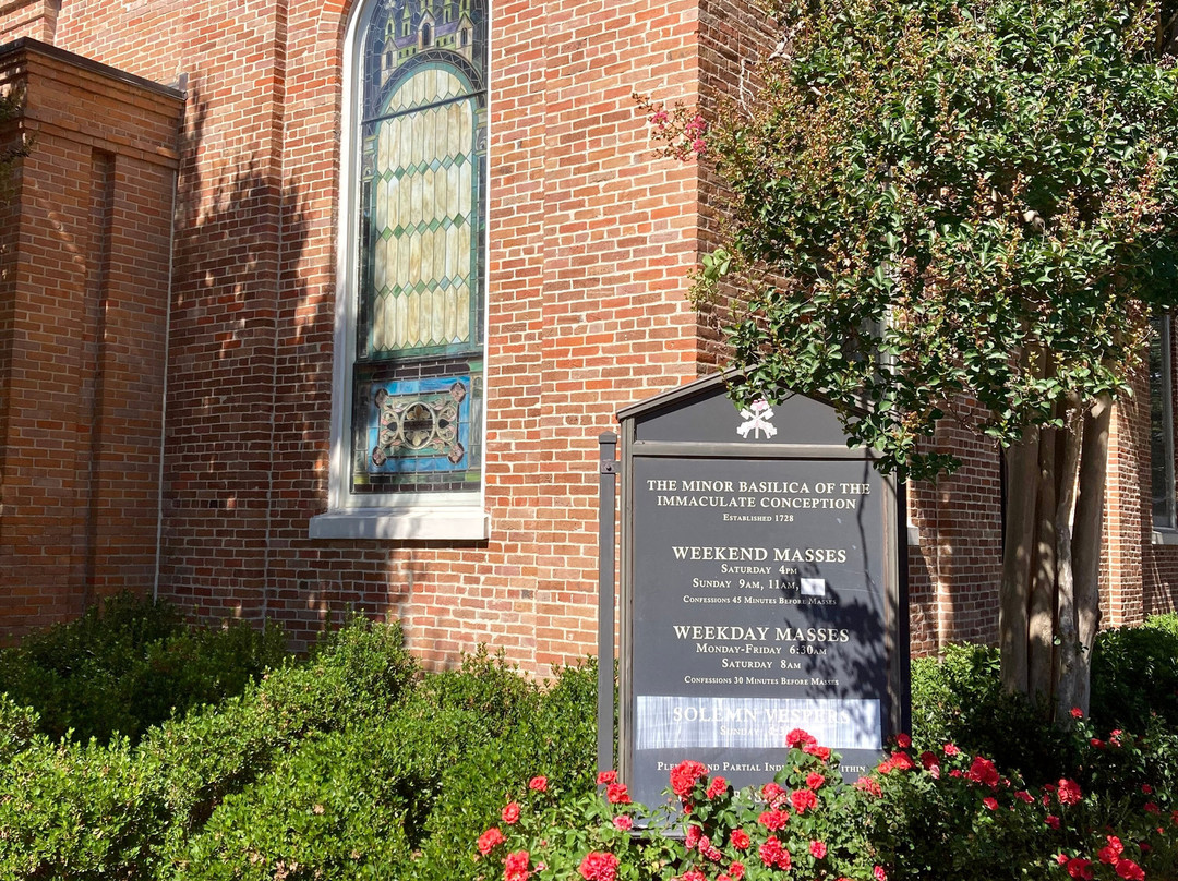 The Minor Basilica Of The Immaculate Conception-纳基托什县必去景点