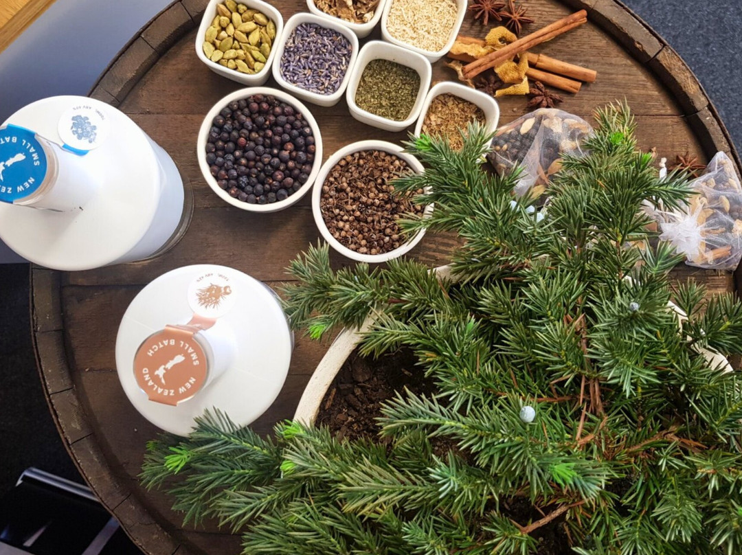 The Spirits Workshop Distillery - Curiosity Gin and Divergence Whisky-基督城必去景点