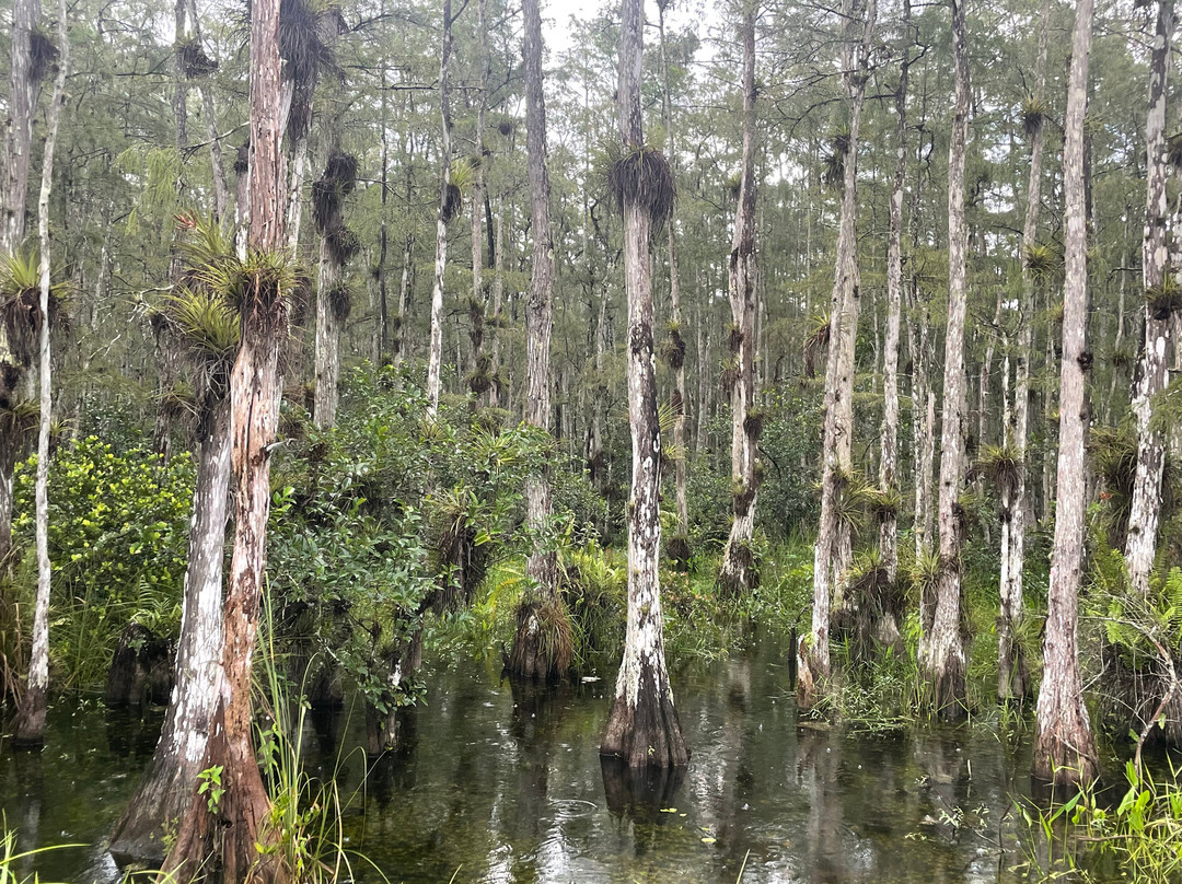 Loop Road-奥乔皮必去景点