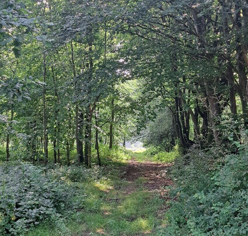 Huxtable Farm Bed & Breakfast And Camping主图