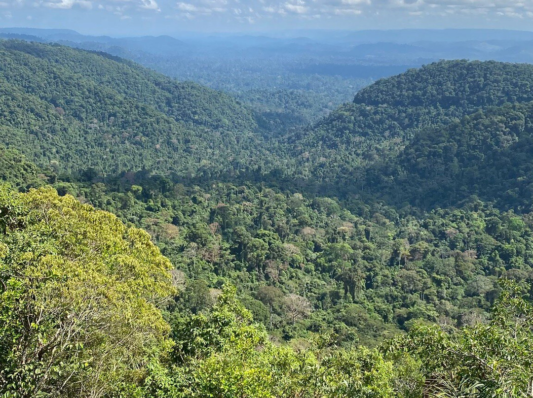 Floresta Nacional dos Carajas-Parauapebas必去景点