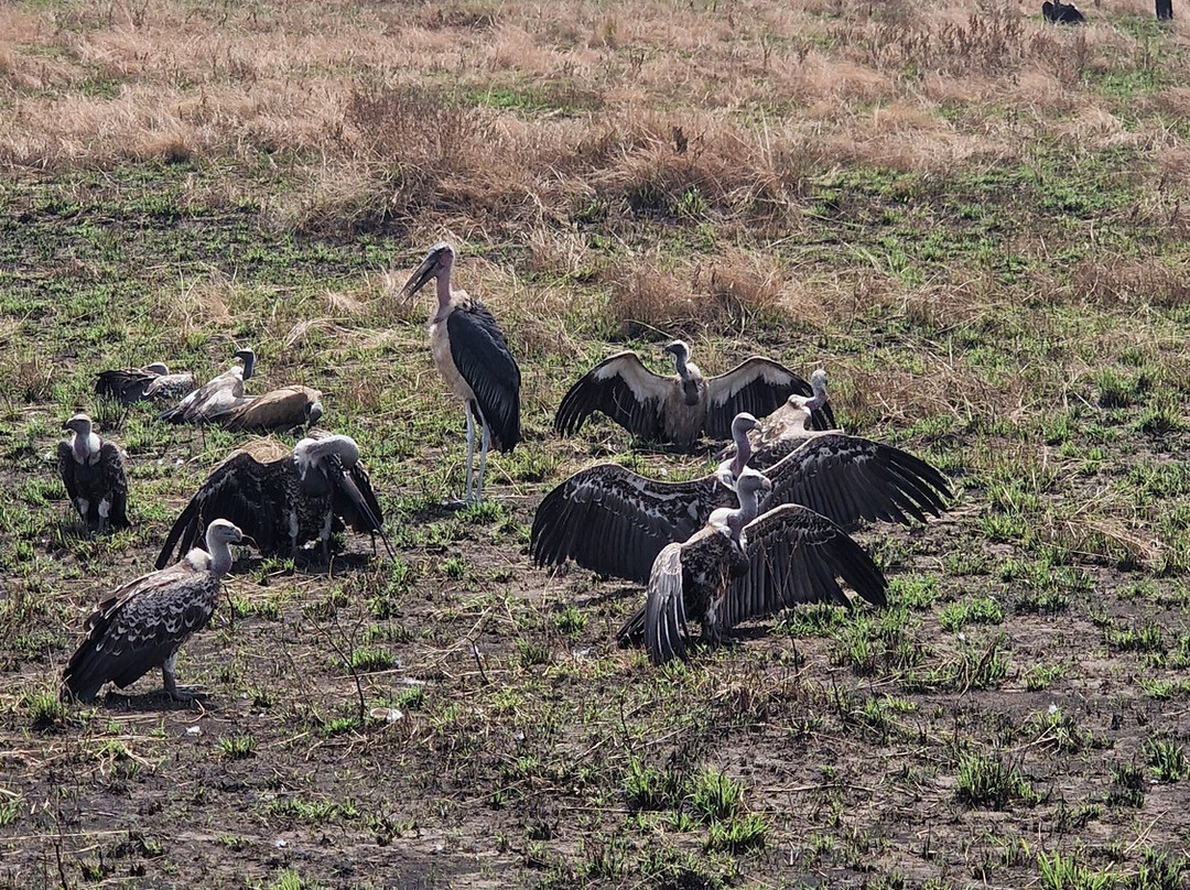 SunUp Adventures-内罗毕必去景点