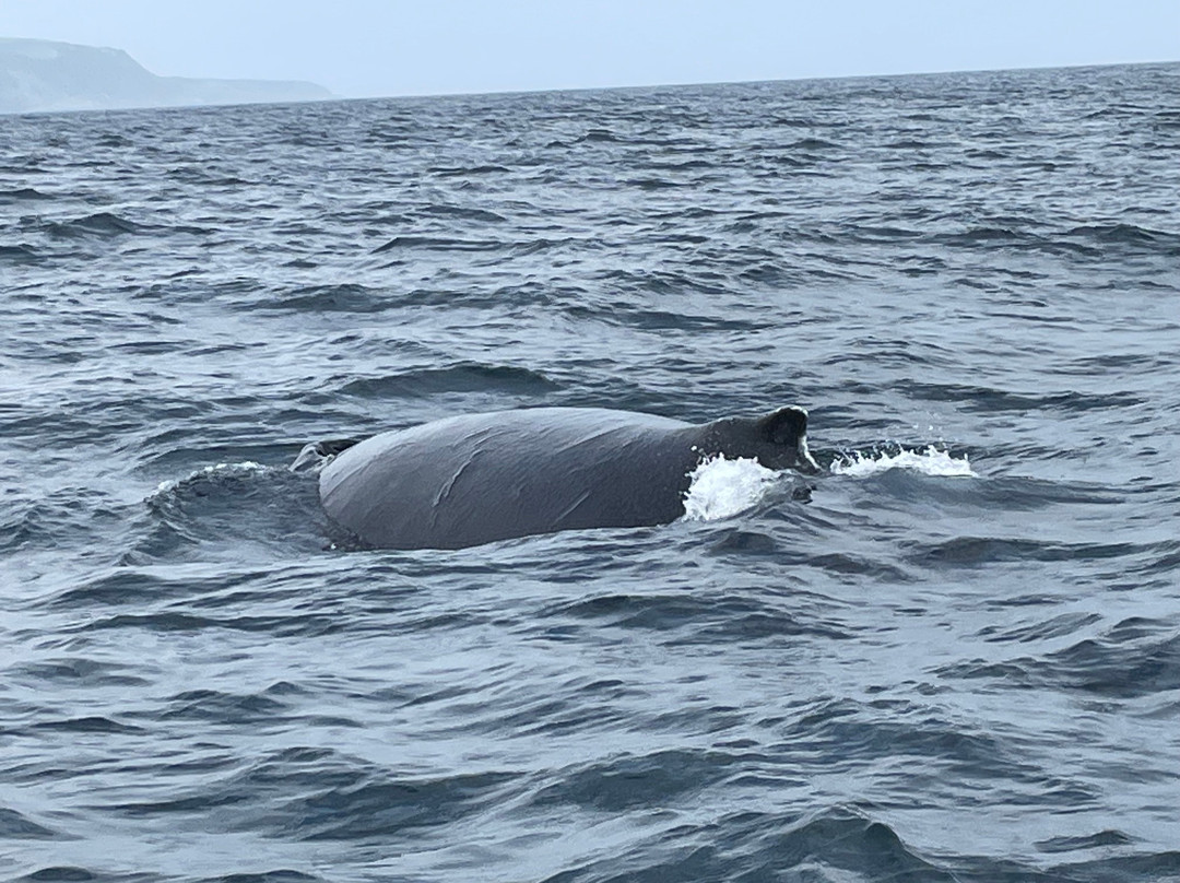 Trinity Eco-Tours-Trinity必去景点