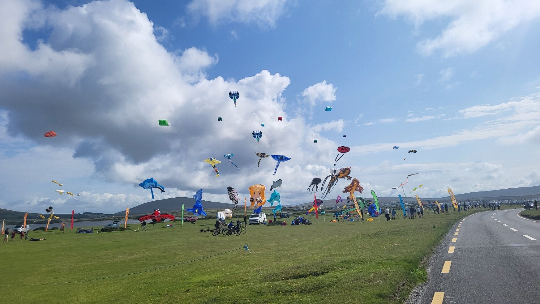 Joyce's Marian Villa Guesthouse-官方