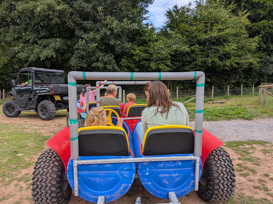 Woolley Animals Farm Park-Winkleigh必去景点