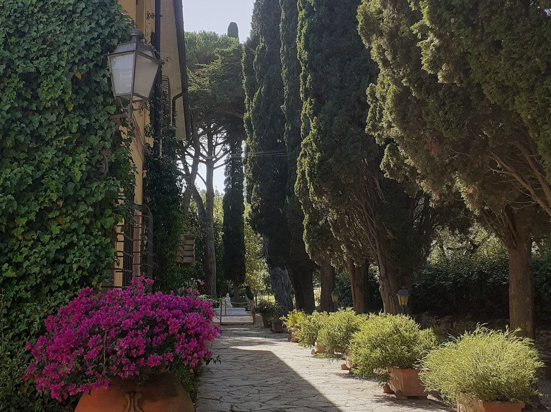 Tenuta La Bandita主图