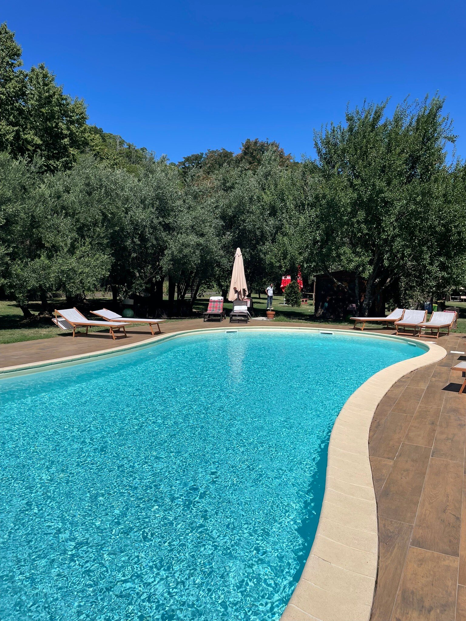 Palazzo Conforti-官方