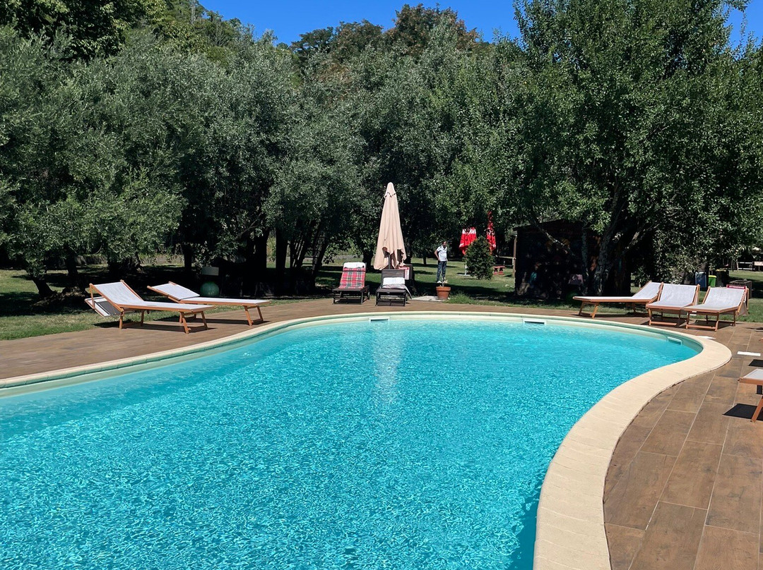 Palazzo Conforti主图