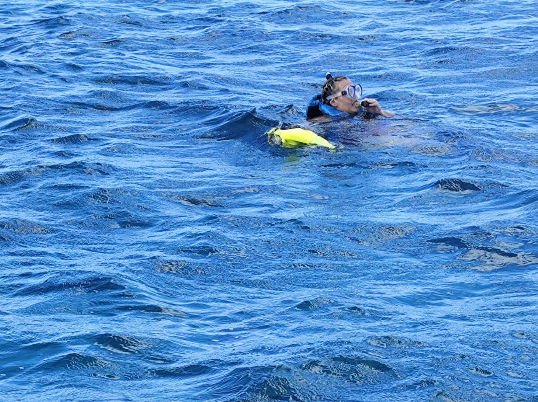 Waves Splitter Charters-Leeward Settlement必去景点