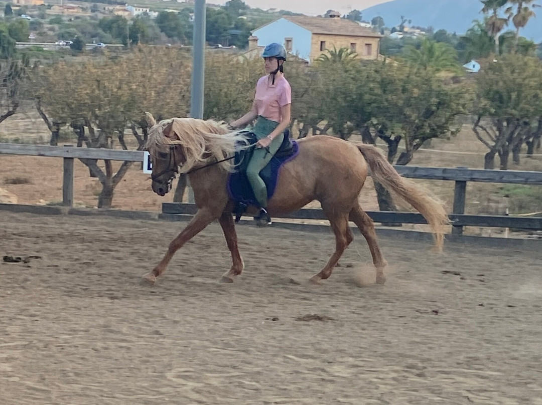 Club Hipico Benissa-贝尼萨必去景点