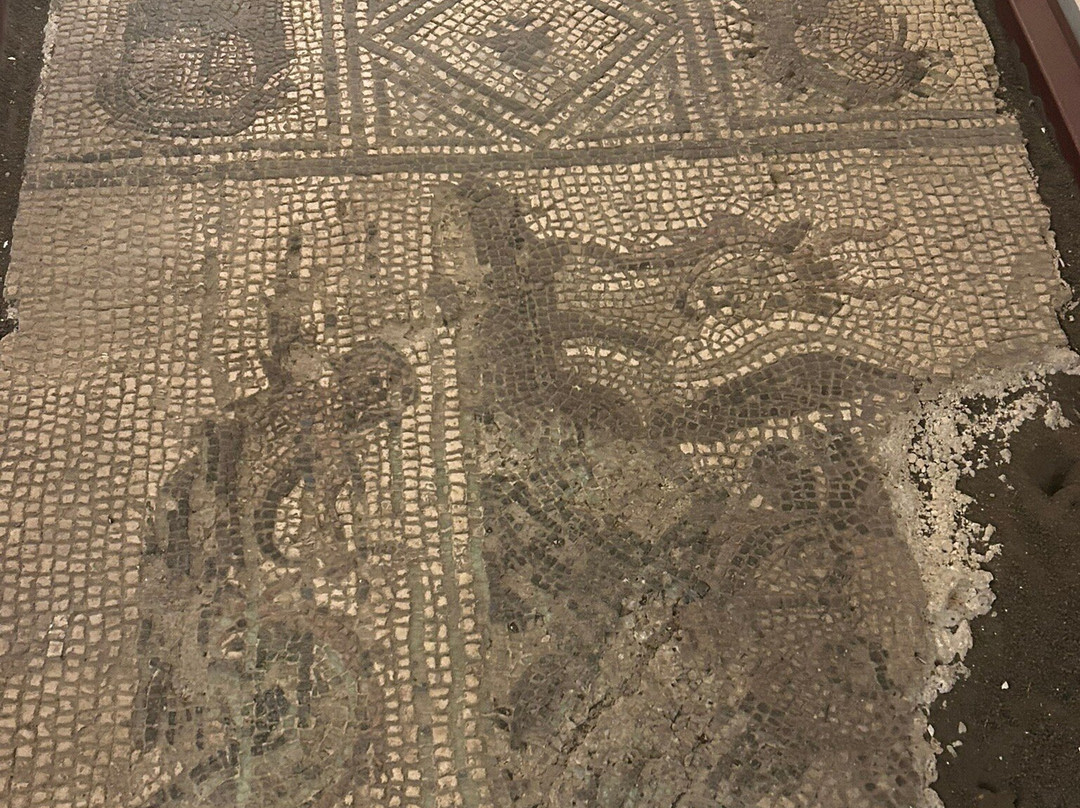 Museo Civico Santissima Annunziata-苏尔莫纳必去景点