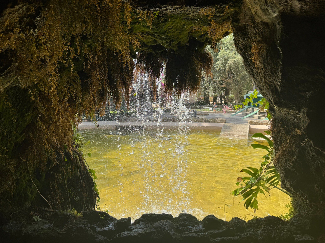 Parque Genovés-加的斯市必去景点