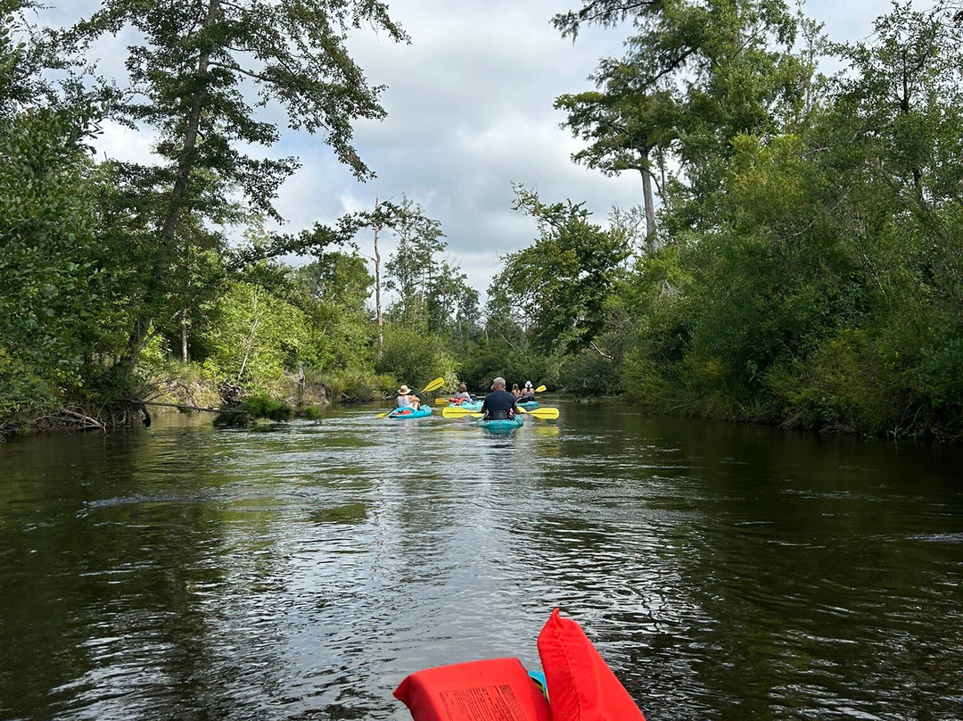 Econfina Creek Canoe Rentals