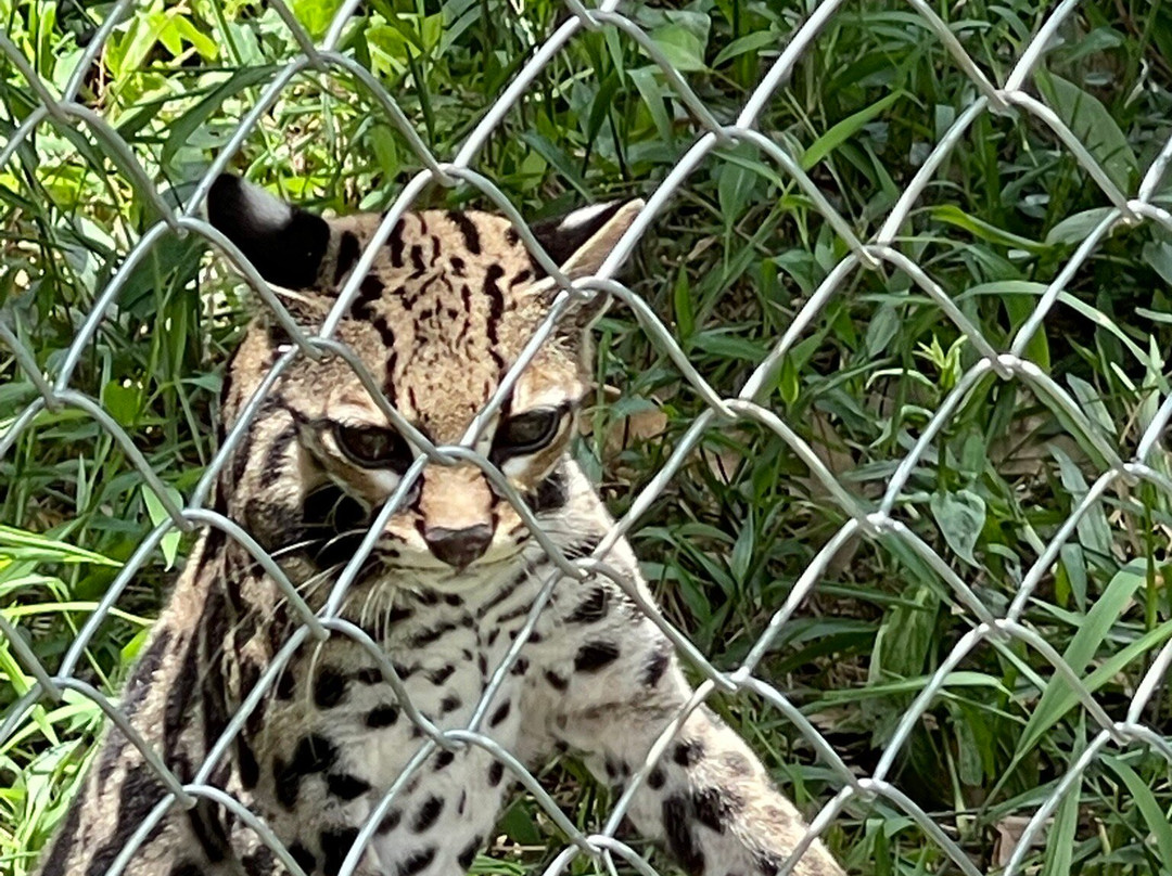 Centro de Rescate Las Pumas-Canas必去景点