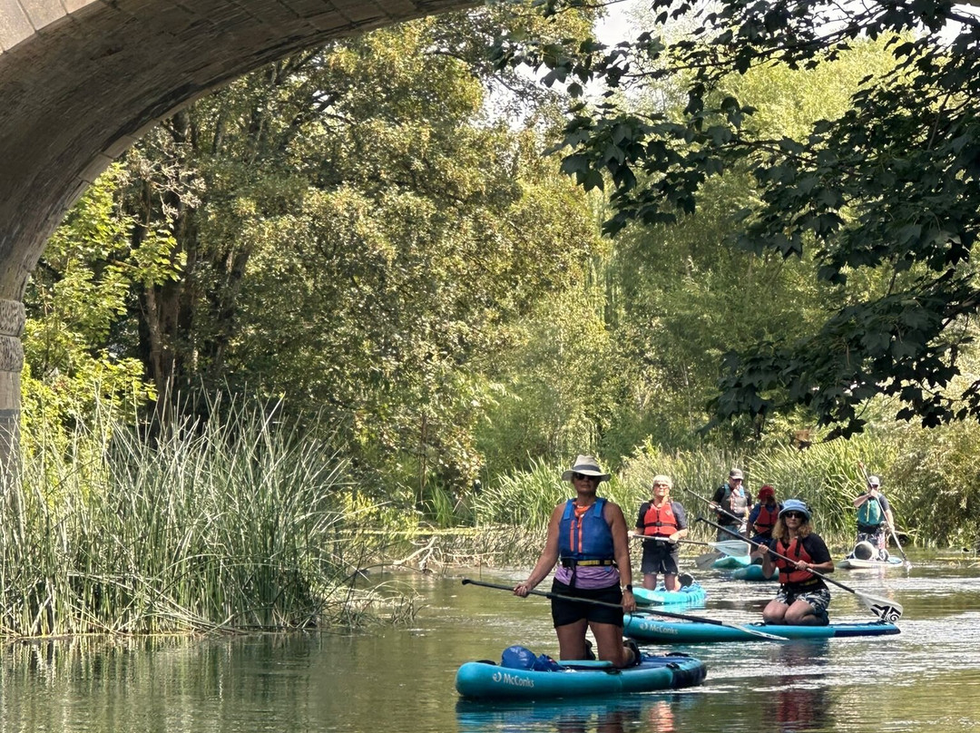 Paddleboarding Adventures-瓦伊河畔罗斯必去景点