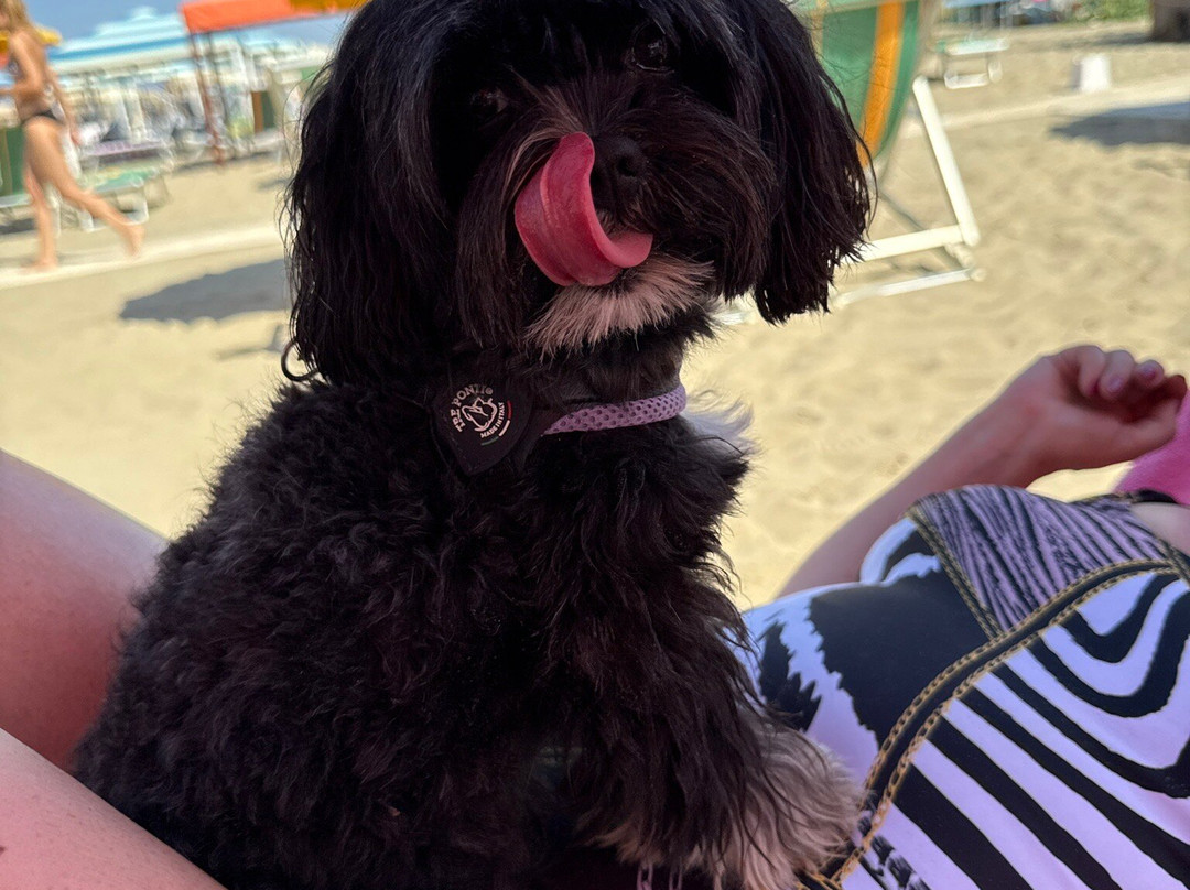 Bagno Riviera-Lido di Camaiore必去景点