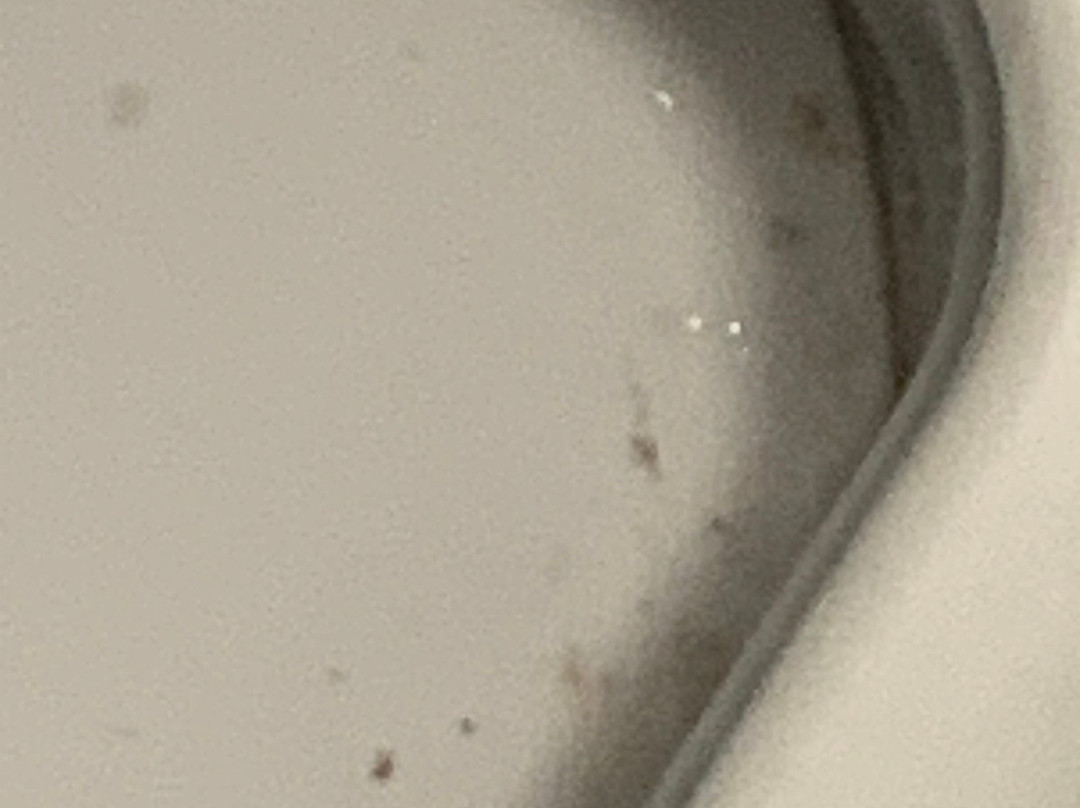 Travelodge Glastonbury主图