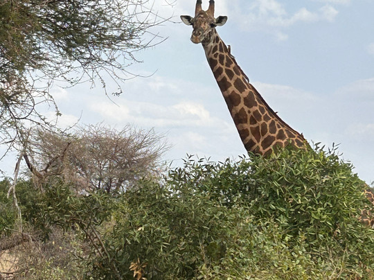 Zimba tours and safaris-瓦塔木必去景点