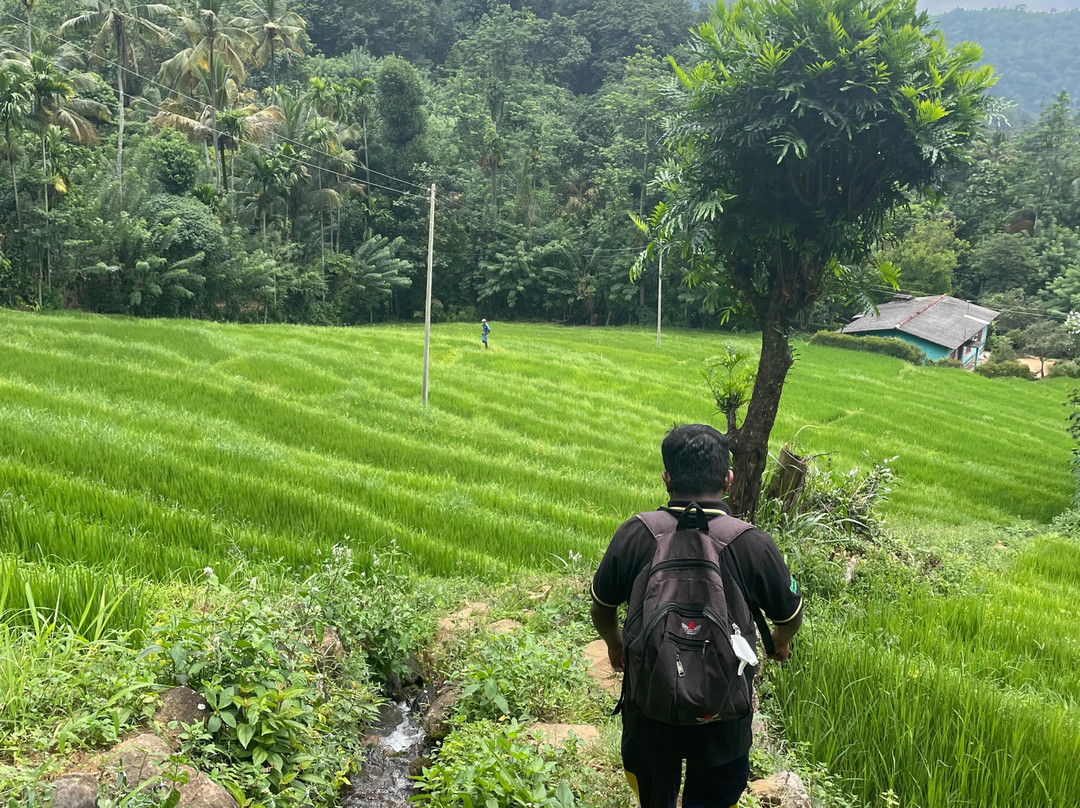 Elgant Island Tours-Katana必去景点