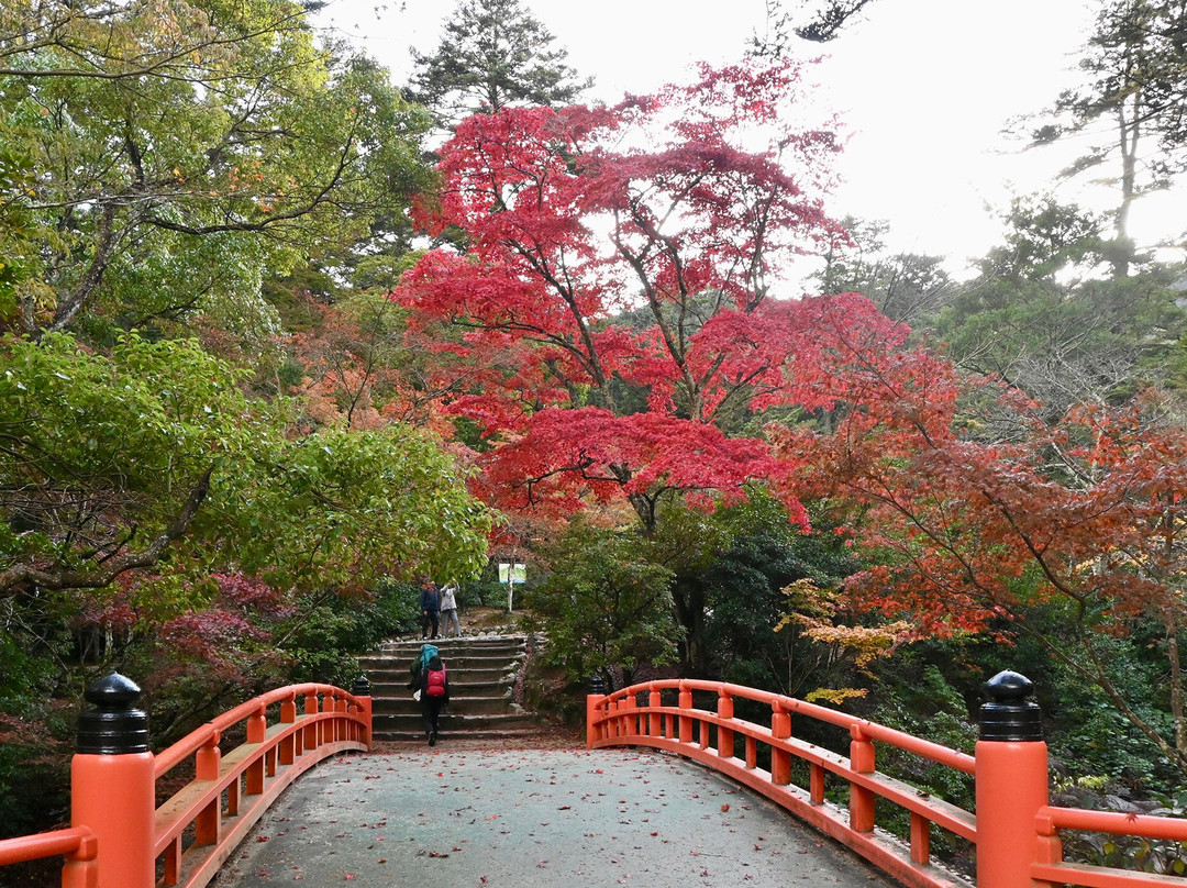 Momijidani Park-Itsukushima必去景点