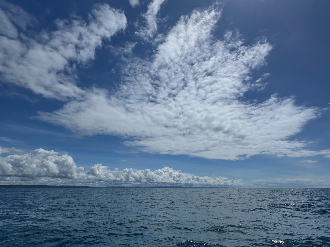 Ecosul Turismo-Ilheus必去景点