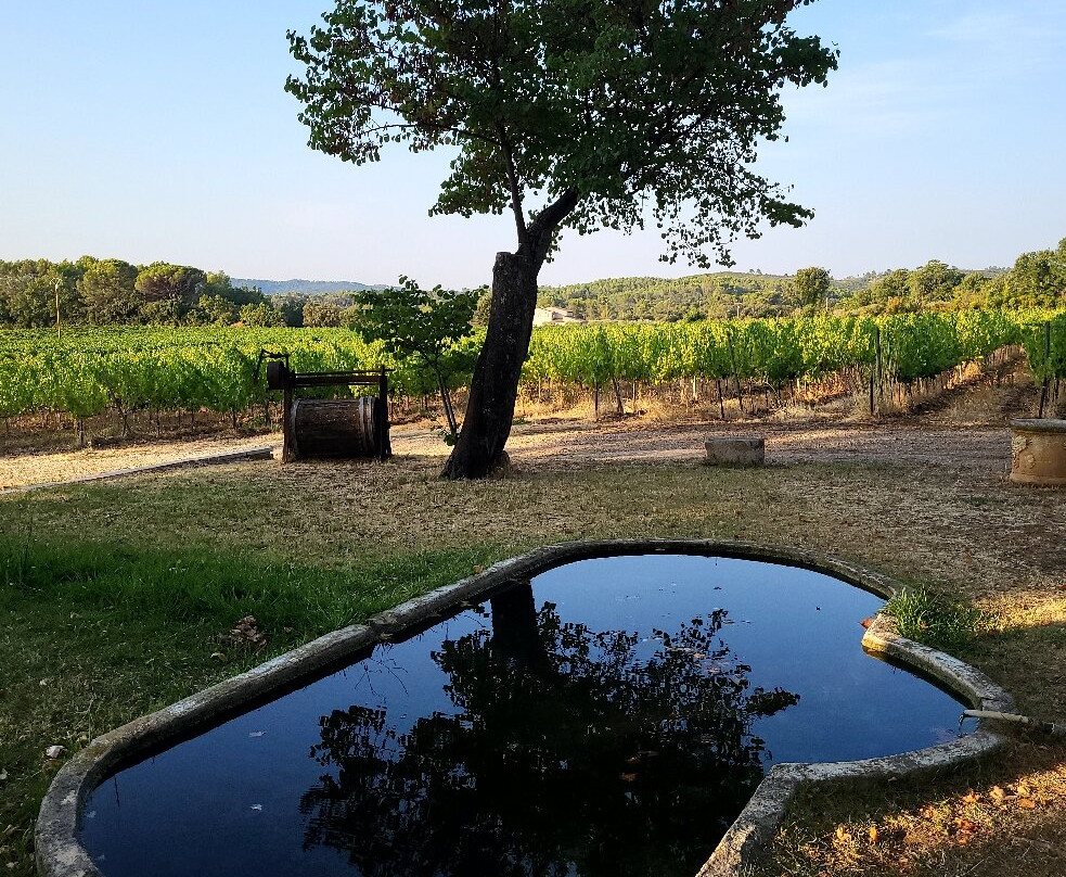 Chateau Nestuby主图