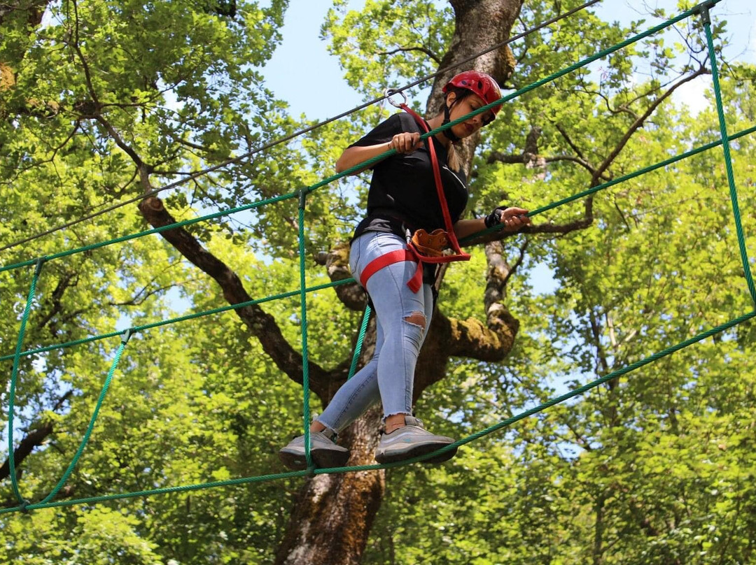 Parco Avventura Gioia-Laino Borgo必去景点