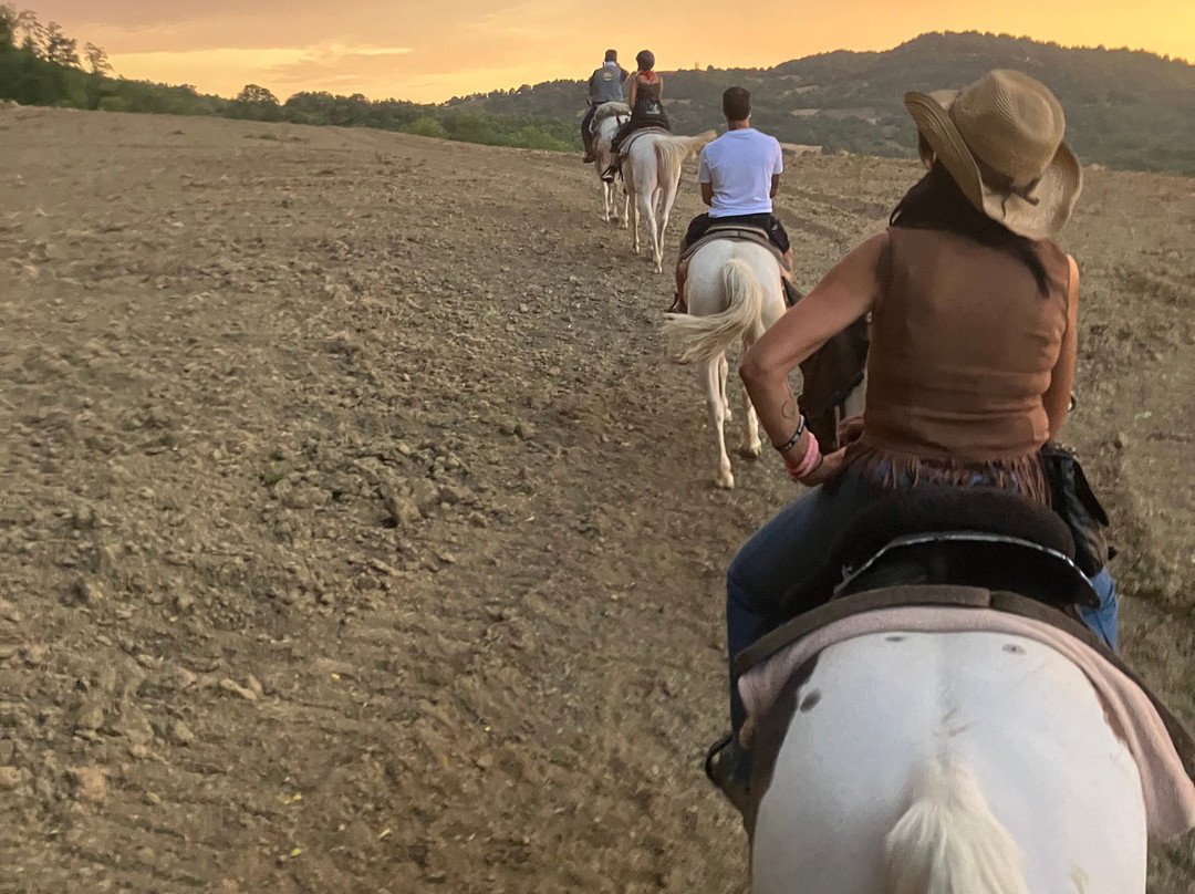 Cavallo Avventura-斯卡尔利诺必去景点