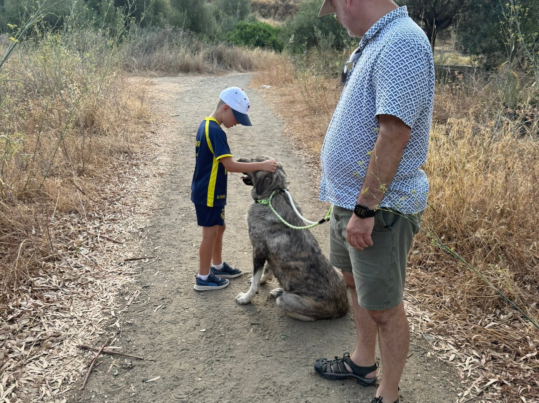 Triple A Marbella Animal Shelter-马贝拉必去景点