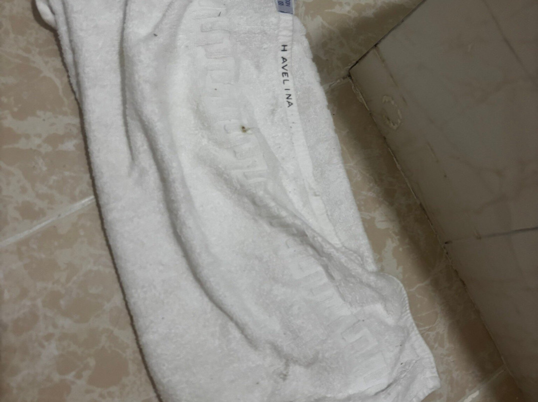 Hotel Avelina主图