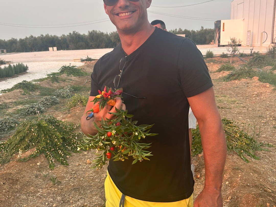 Icontadini-乌真托必去景点